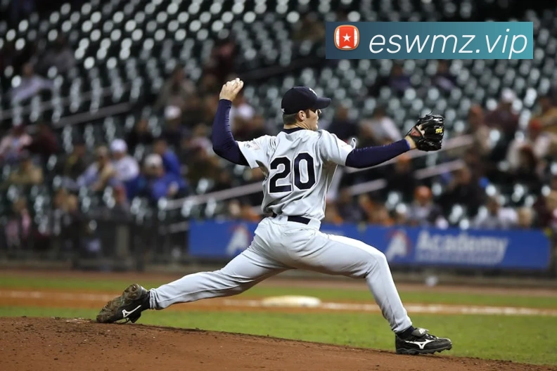 九游电子娱乐官网平台生态图