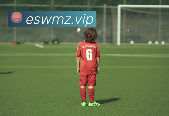 辅助工具 辅助工具